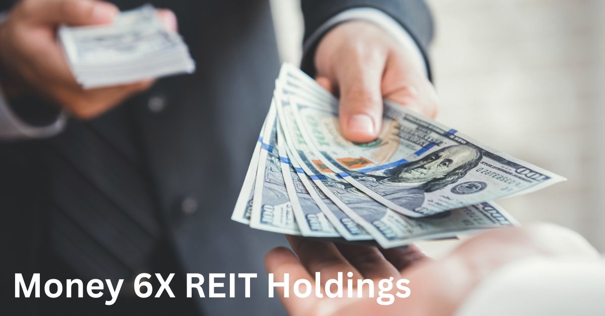 Money 6X REIT Holdings