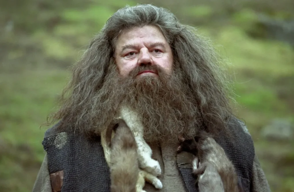 Hagrid Height, Weight, Net Worth, Age, Career And Full Bio